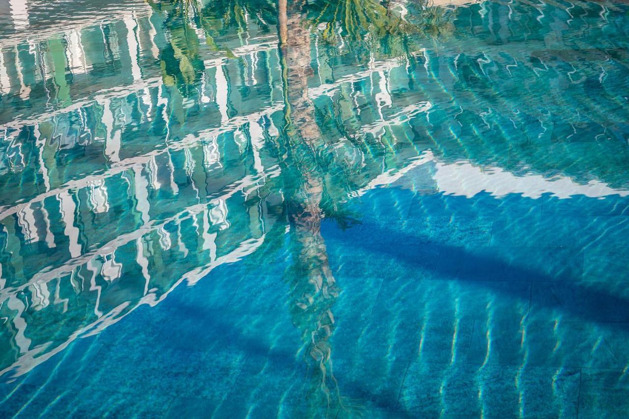 Atzavara & Hotel 5*